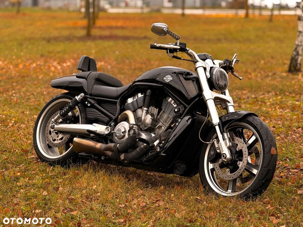 Harley-Davidson V-Rod Muscle - 2