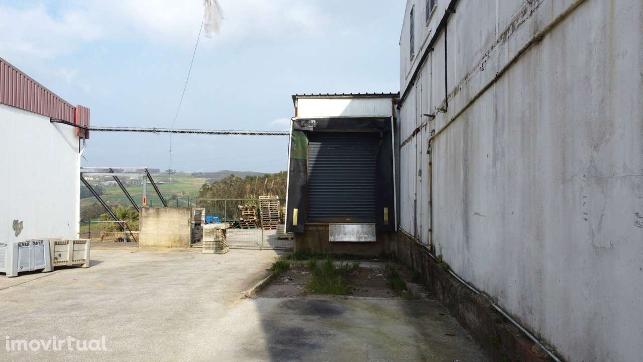Armazém Industrial com Câmaras Frigoríficas – Lourinhã - Grande imagem: 3/21