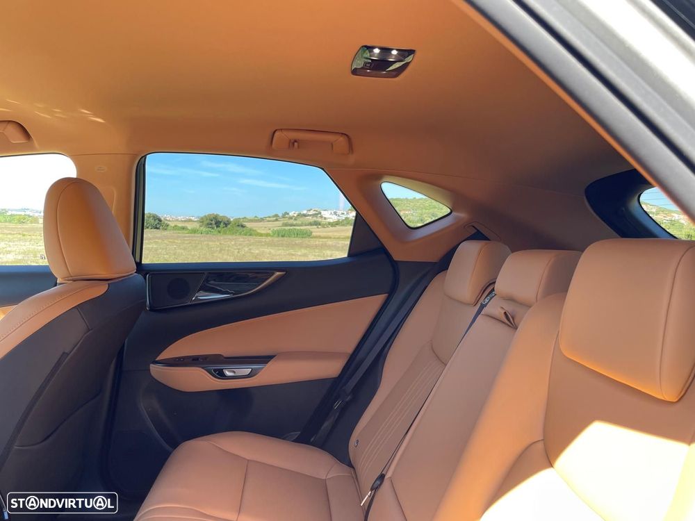 Lexus NX 450h+ Executive Plus - 31