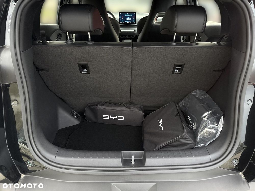 BYD Dolphin Surf - 28