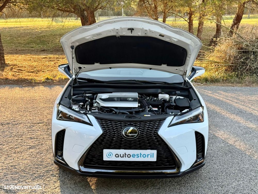 Lexus UX 250h F Sport - 12