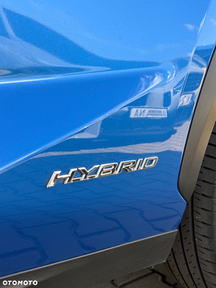 Lexus NX 300h E-FOUR Executive Line - 10