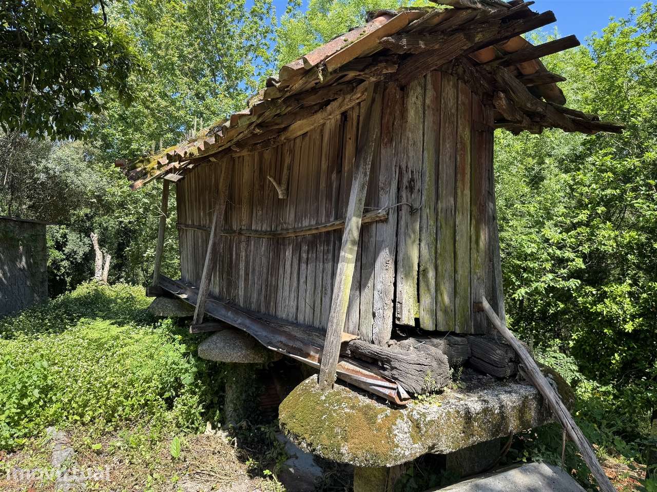Moradia para Restaurar T3 Venda em Moimenta,Terras de Bouro - Grande imagem: 4/49