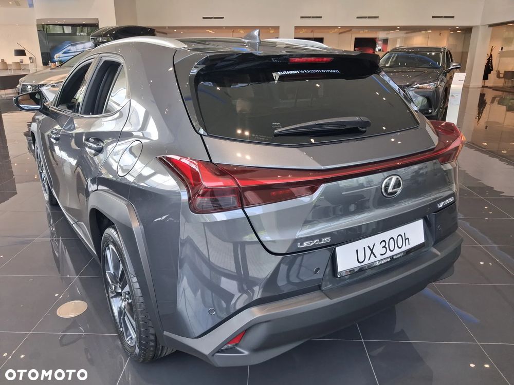 Lexus UX 300h Business - 7