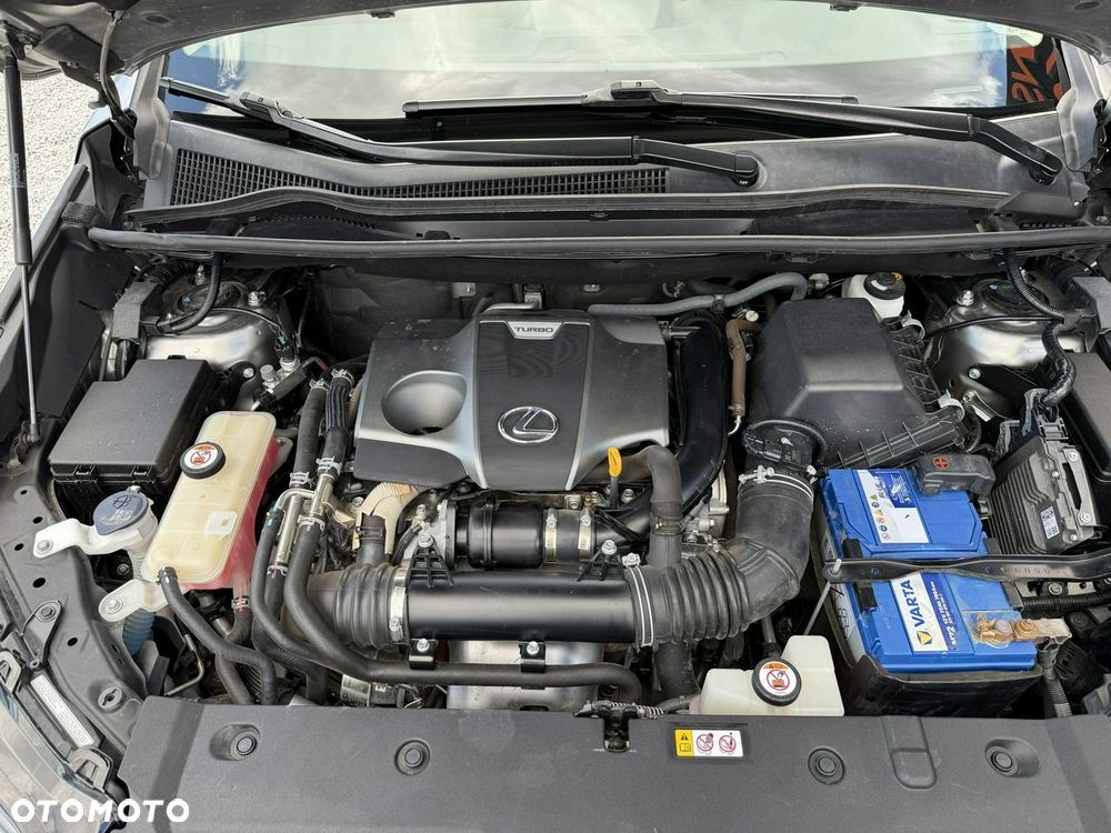 Lexus NX 300 Executive Line - 30