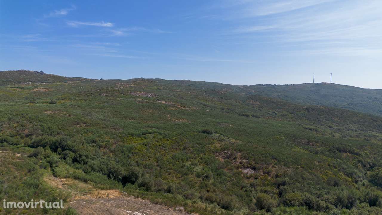 Terreno  Venda em Gouveia (São Simão),Amarante - Grande imagem: 3/17