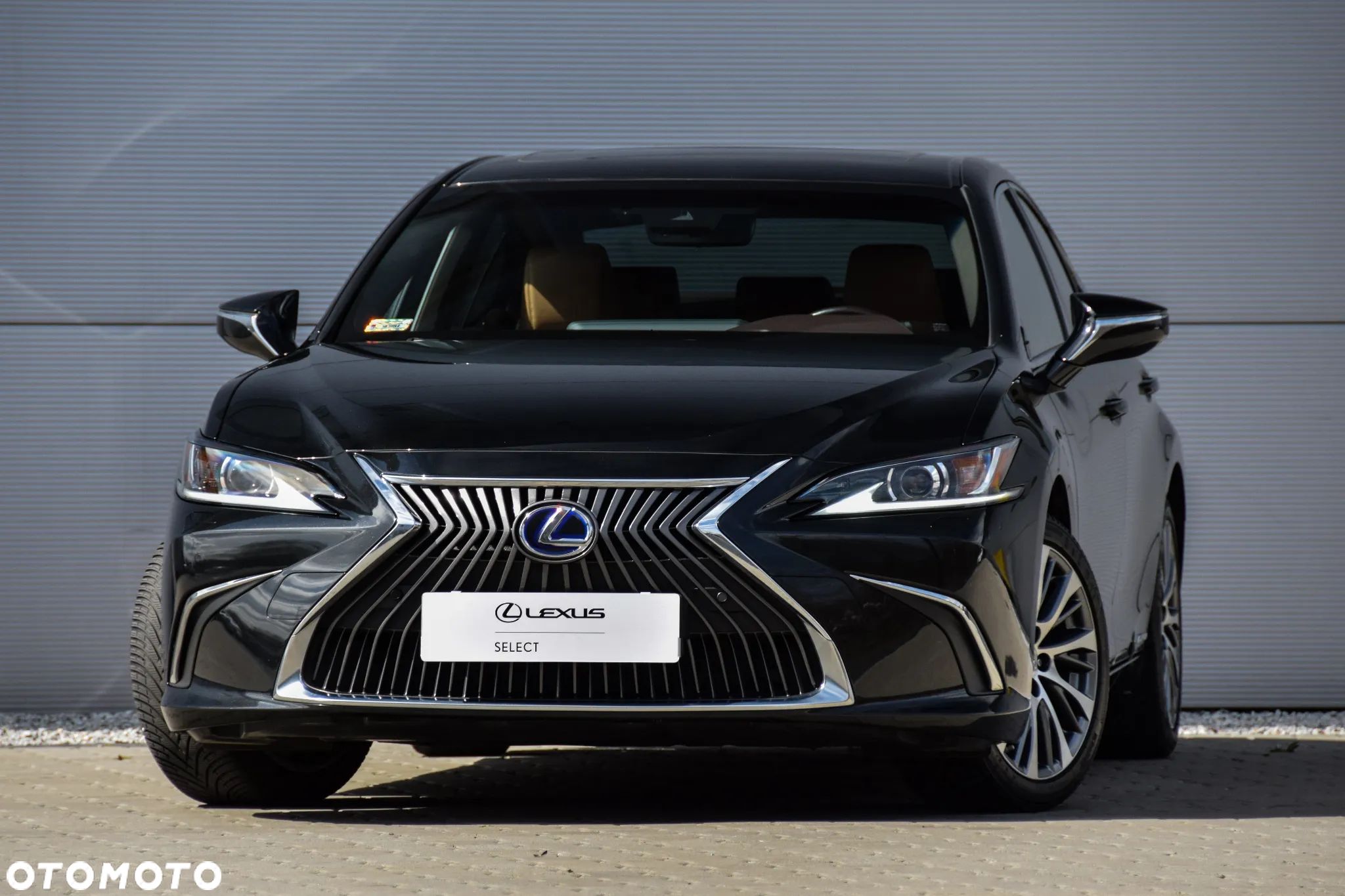 Lexus ES 300h Business Edition + - 1