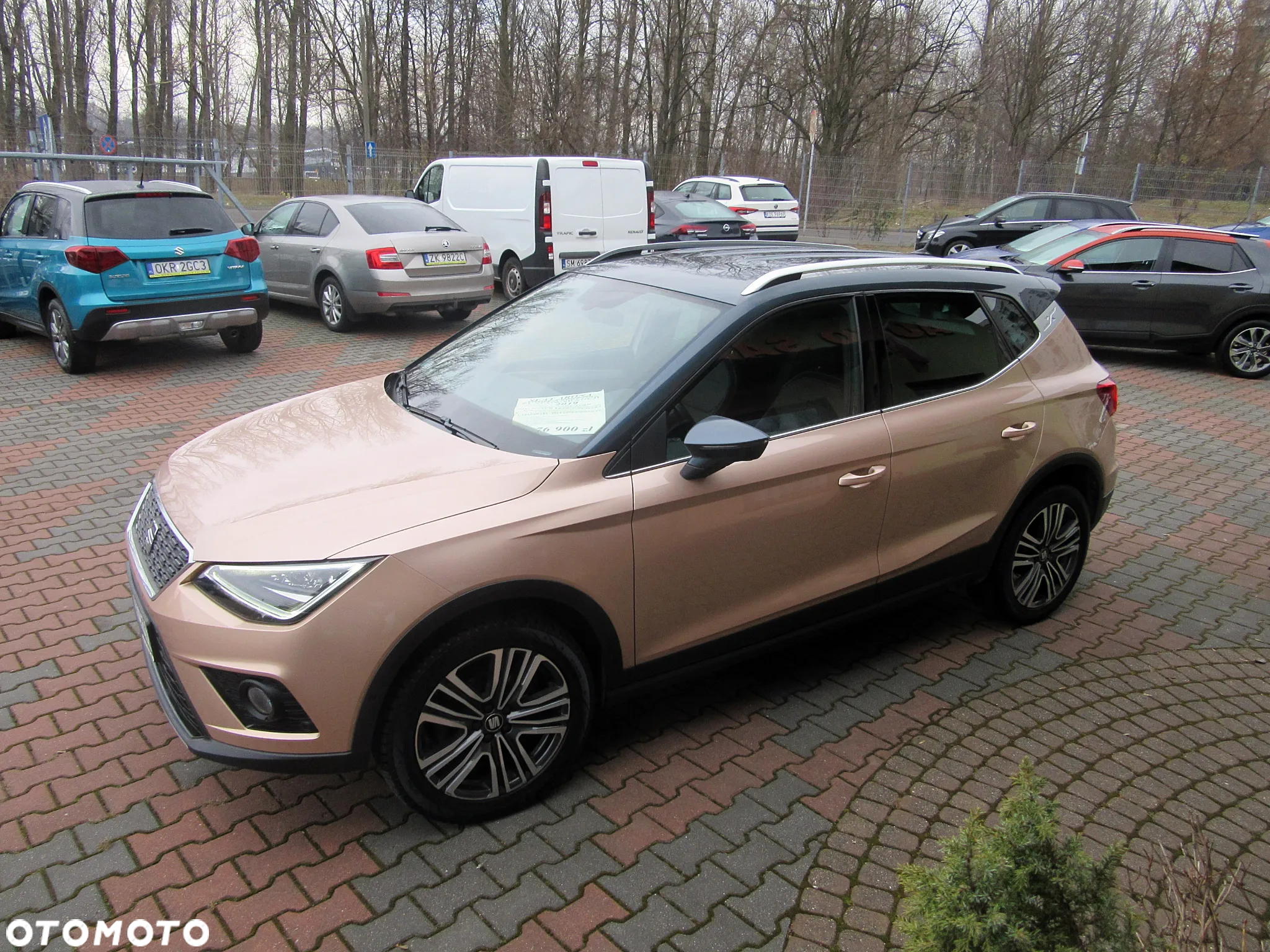 Seat Arona 1.0 TSI GPF Xcellence S&S DSG - 13
