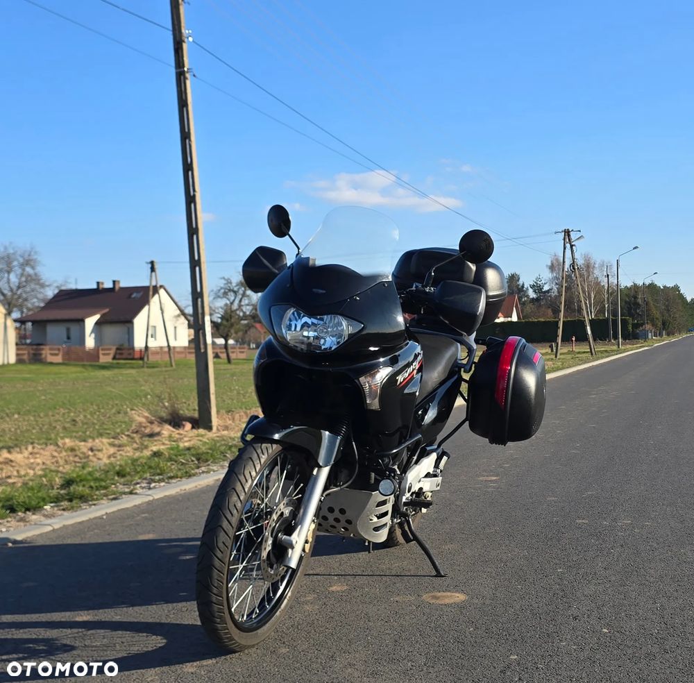 Honda Transalp - 4