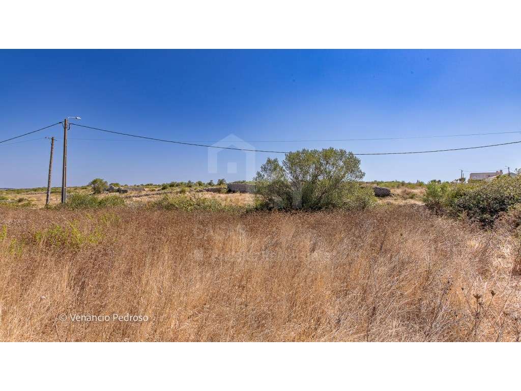 Vende Terreno - Ericeira 13 km, A Casa das Casas - Grande imagem: 5/7