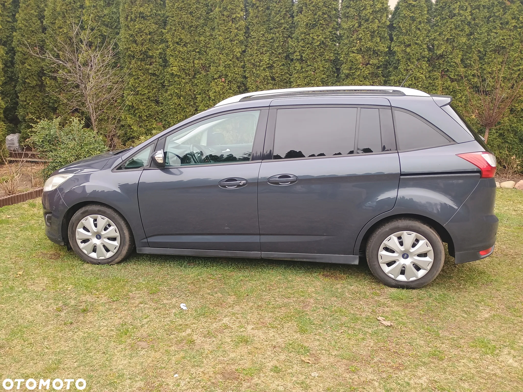 Ford C-MAX - 2