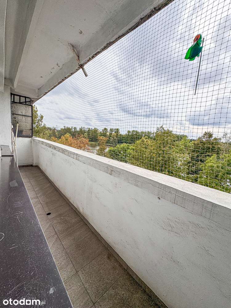 Bezpośrednio 2-pok. z balkonem i widokiem na staw os. Tysiąclecia