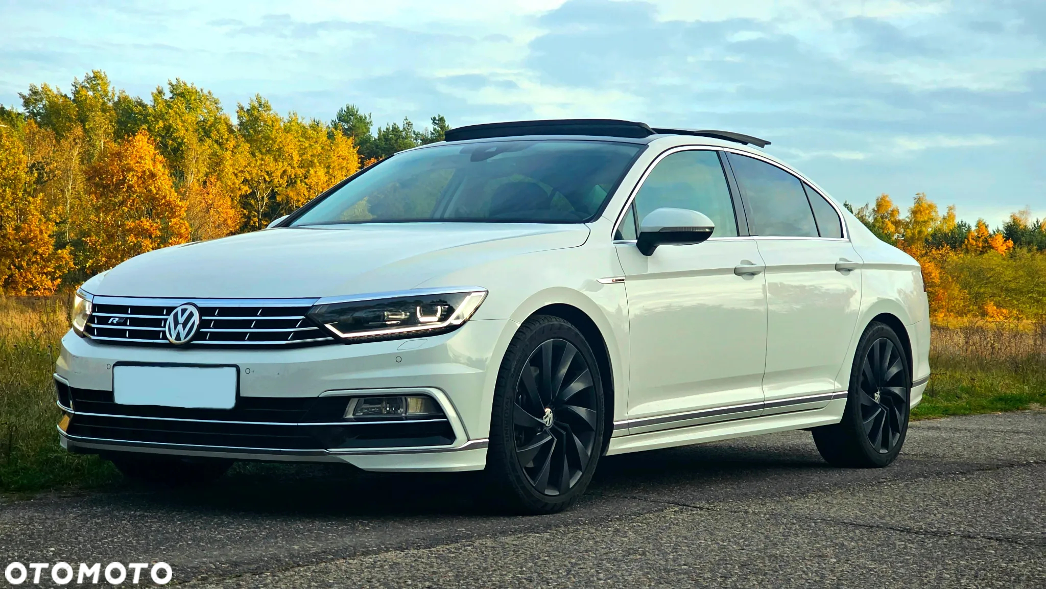 Volkswagen Passat 2.0 TSI BMT 4Mot Highline DSG - 40