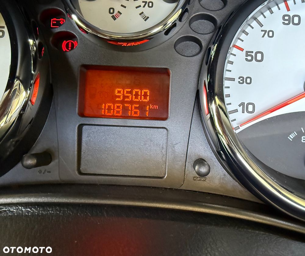 Peugeot 207 - 8