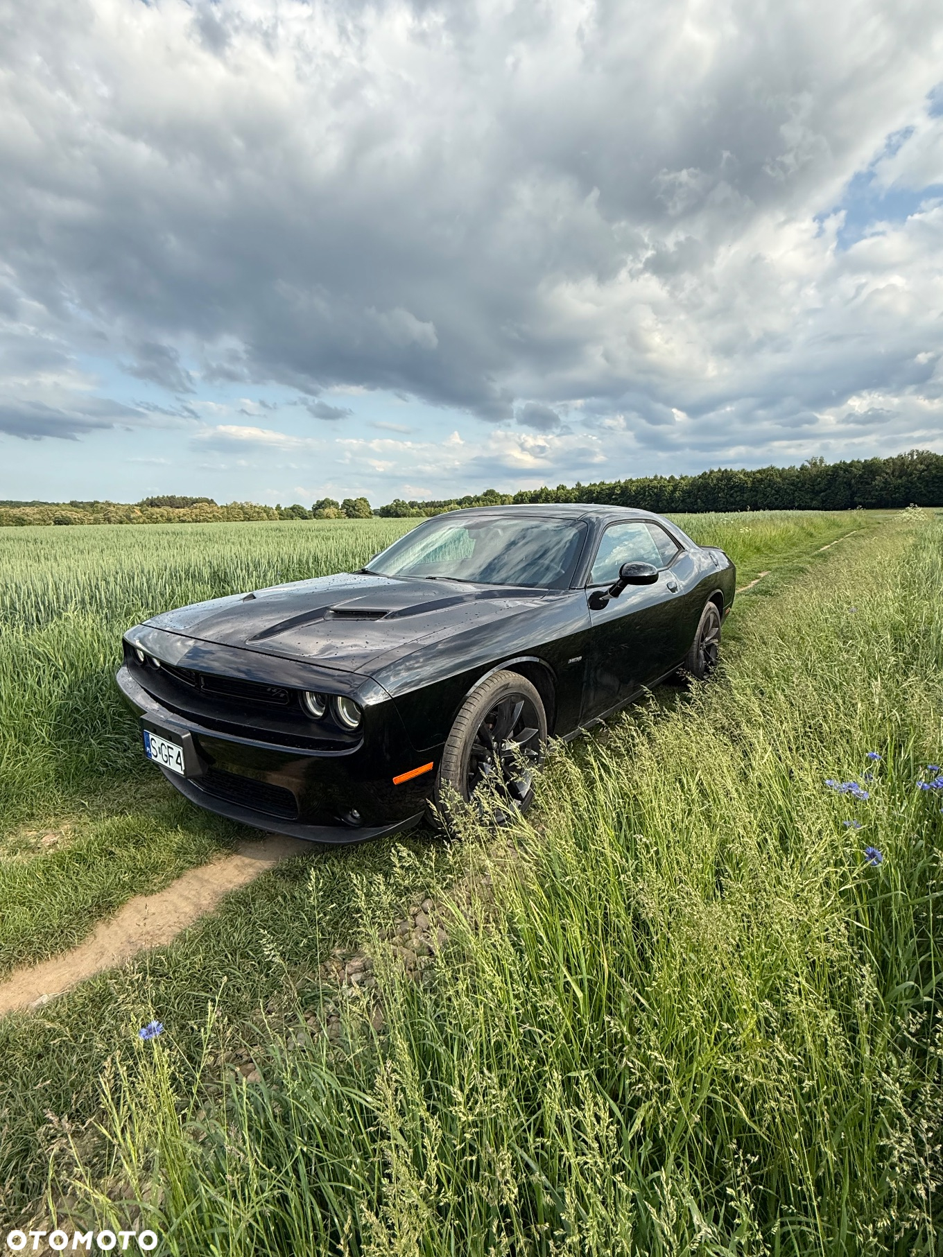 Dodge Challenger Automatik R/T Plus - 6