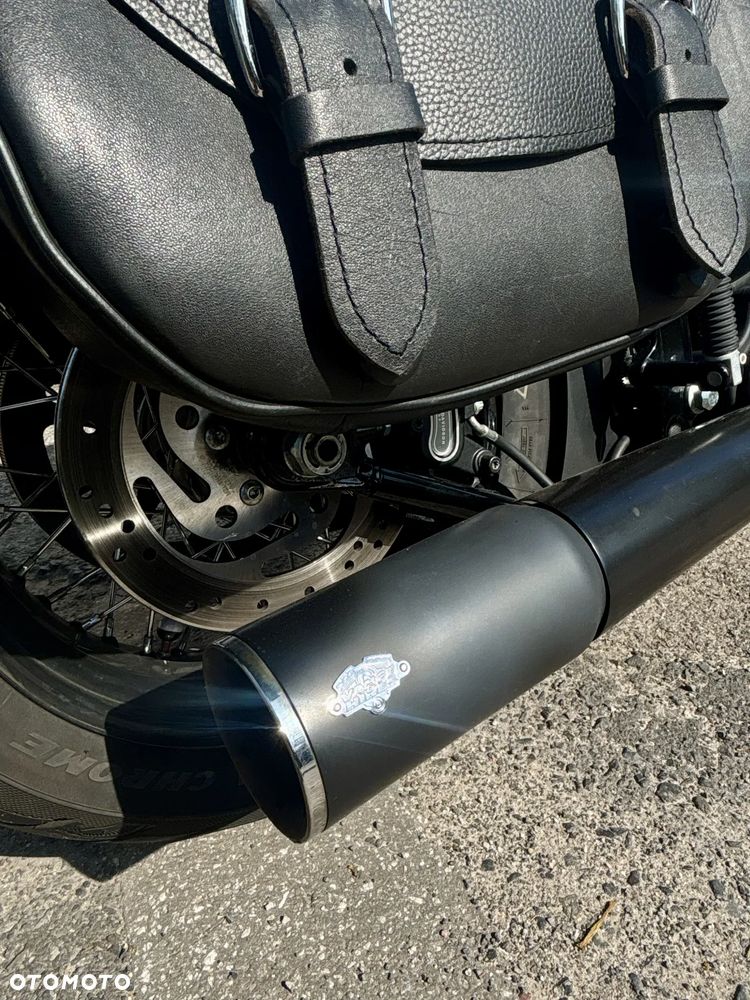 Harley-Davidson Softail Cross Bones - 13