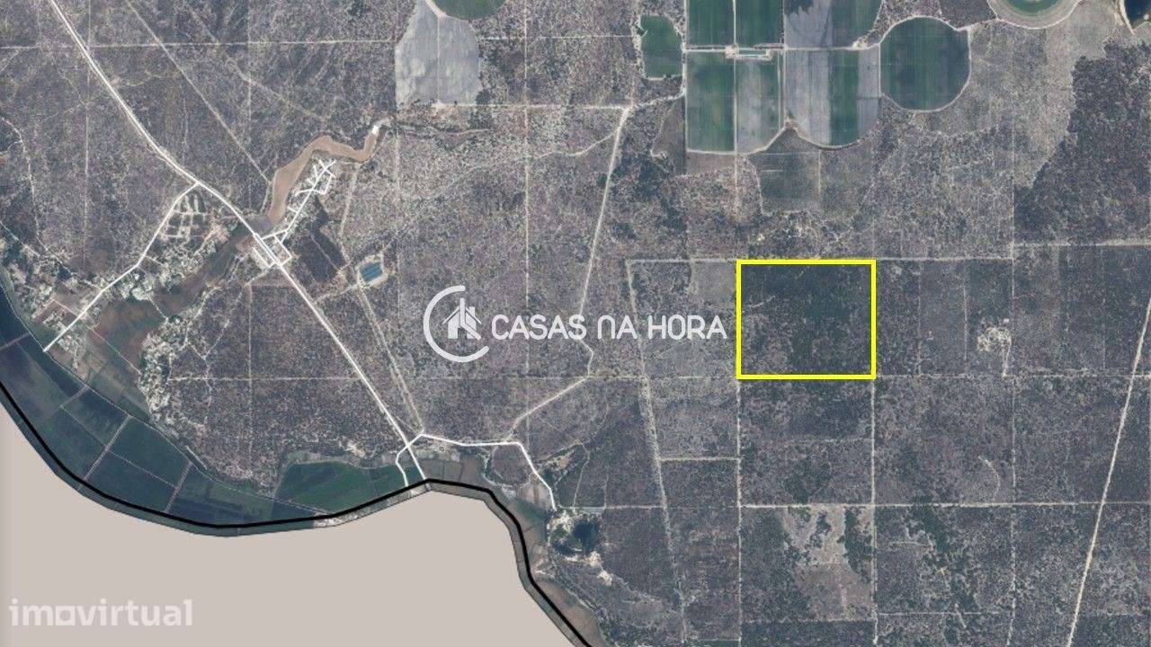 Lote de terreno junto ao Carvalhal, freguesia da Comporta