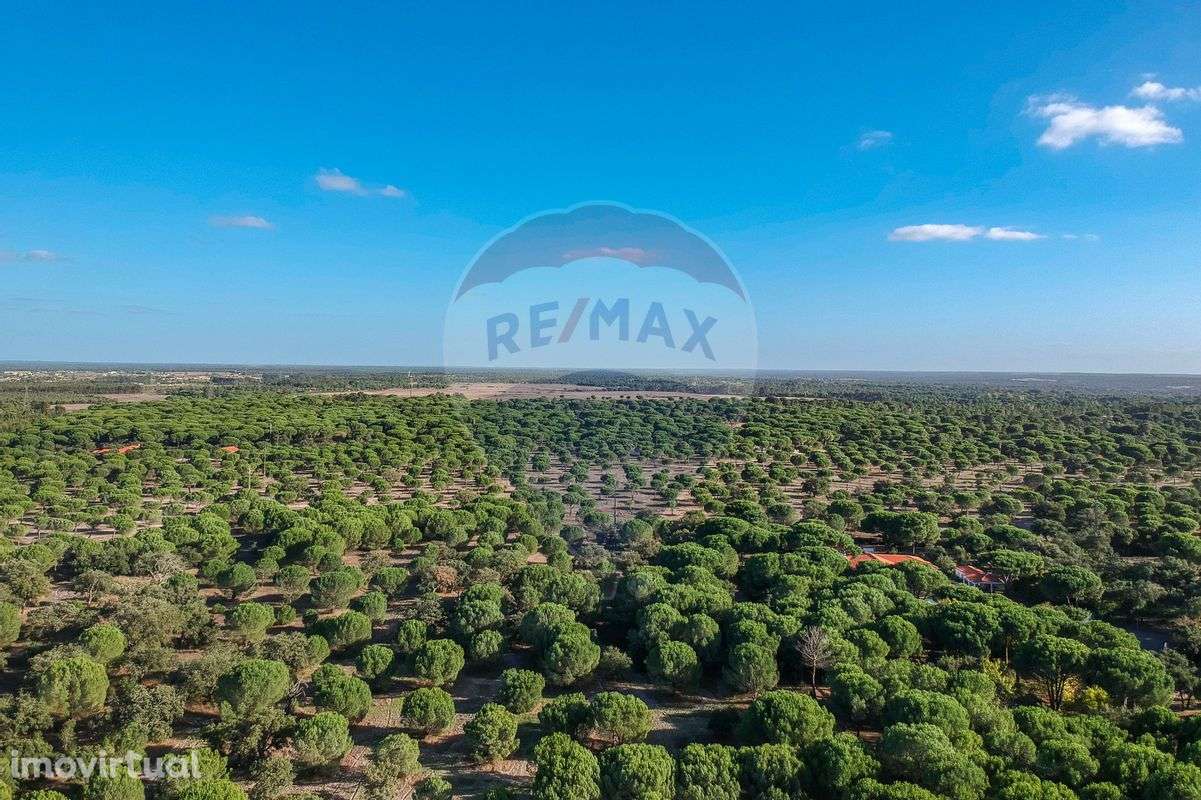 Terreno  para venda - Grande imagem: 3/7