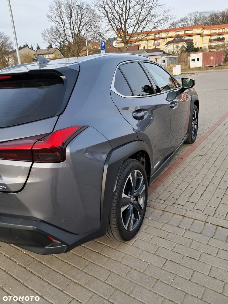 Lexus UX 250h GPF Omotenashi 2WD - 10