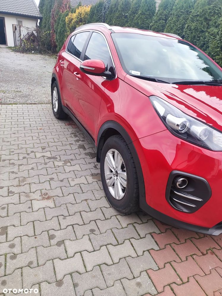 Kia Sportage 1.6 GDI L Business Line Plus 2WD - 2
