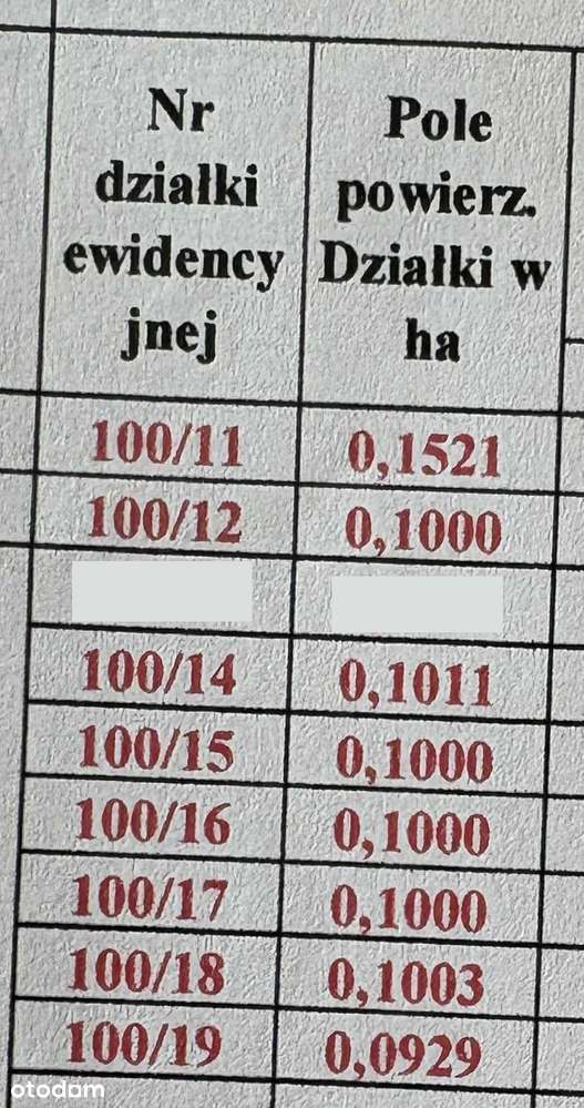 Działki budowlane - Żychlin, przy drodze wojewódzkiej nr 573 - Pełny obrazek: 2/2