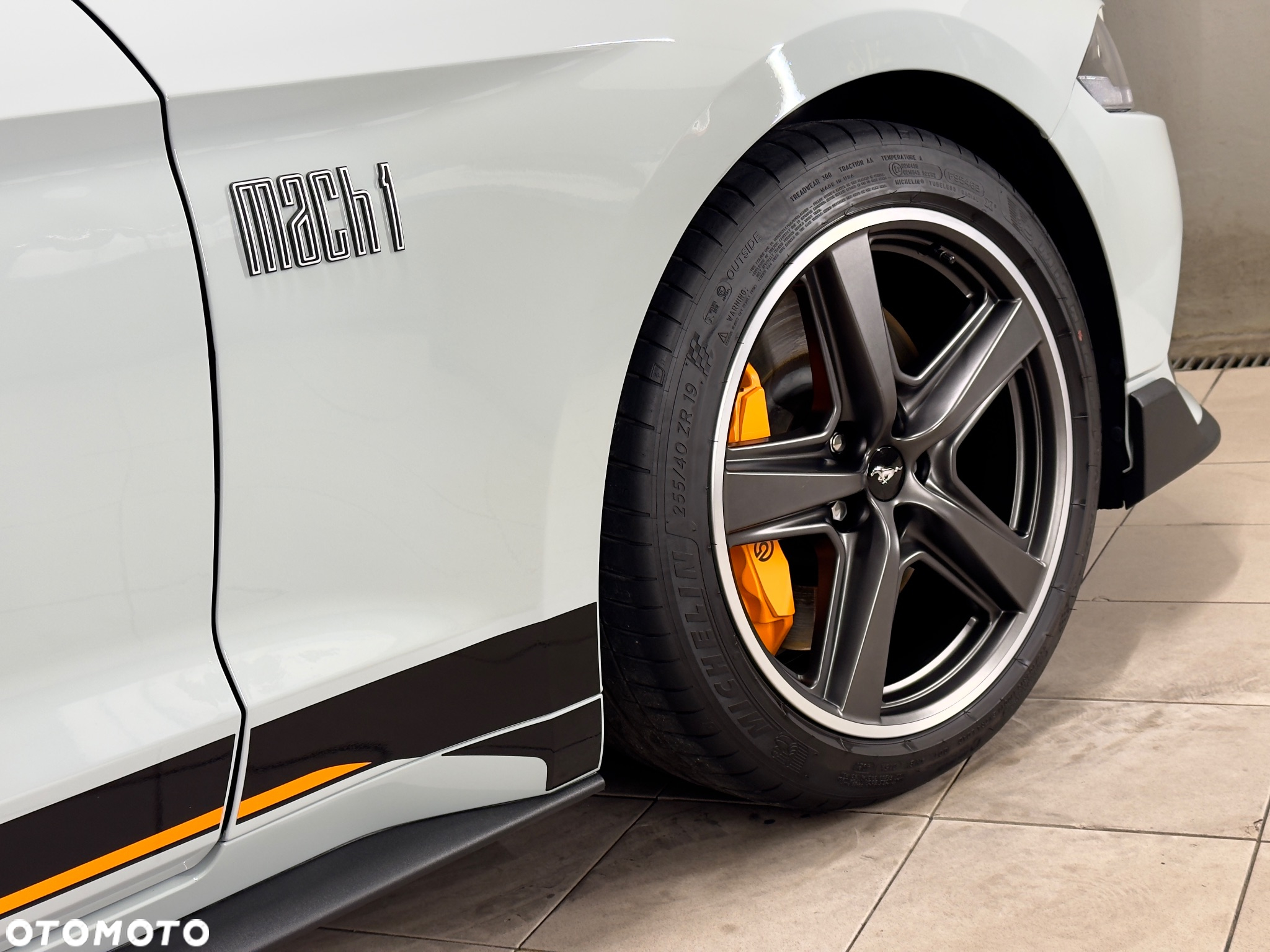 Ford Mustang 5.0 V8 Mach 1 - 14