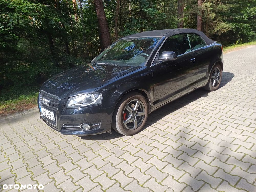 Audi A3 Cabrio 1.9 TDI DPF Ambition - 9