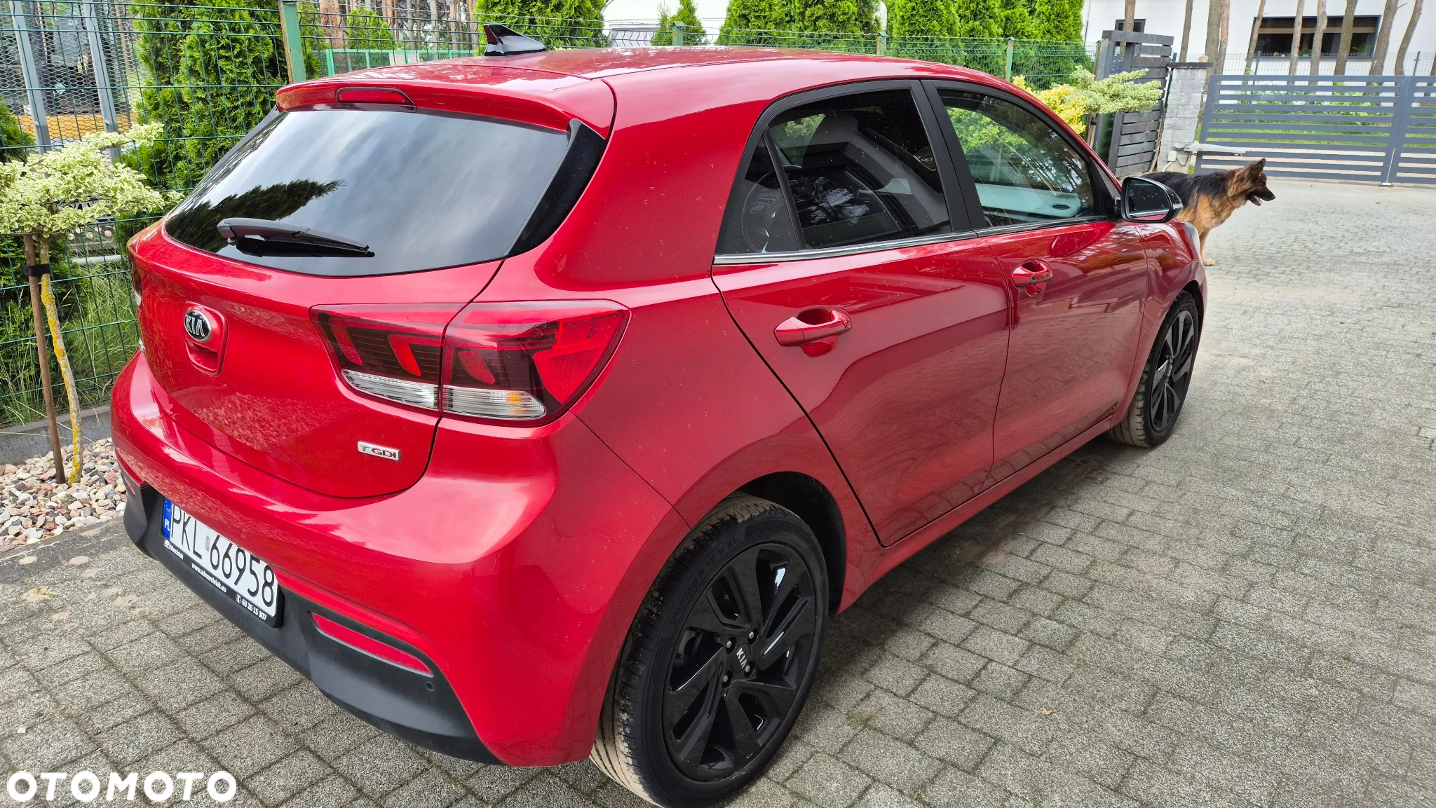 Kia Rio 1.0 T-GDI 120 DCT7 Platinum Edition - 7