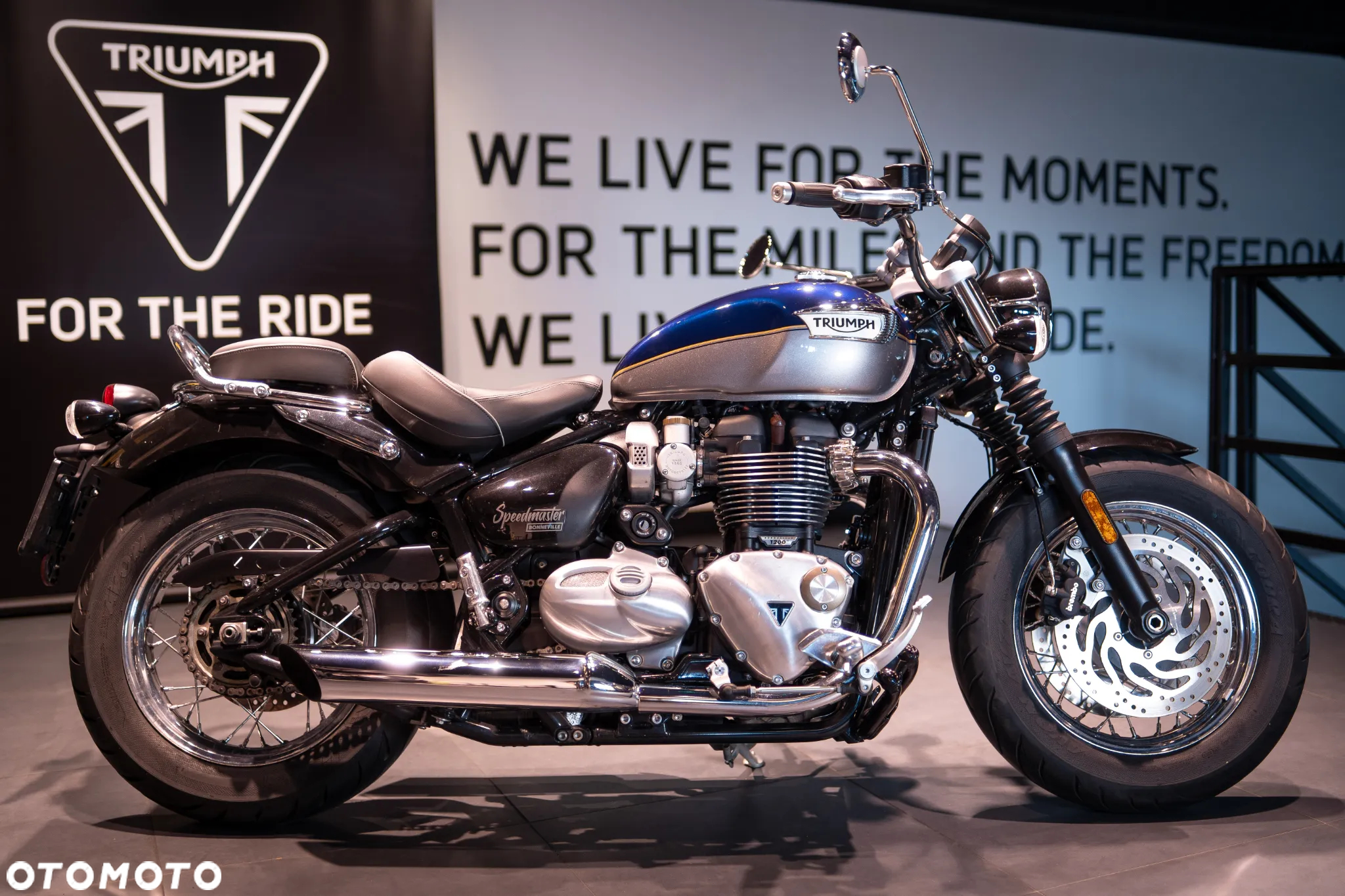 Triumph Speedmaster - 22