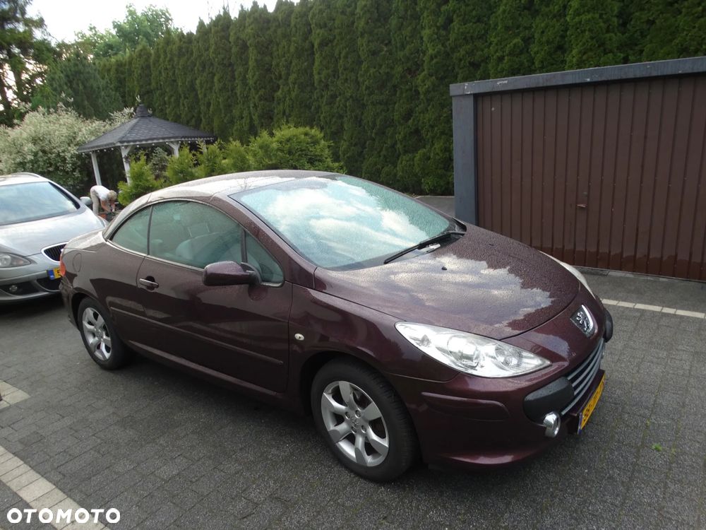 Peugeot 307 - 4