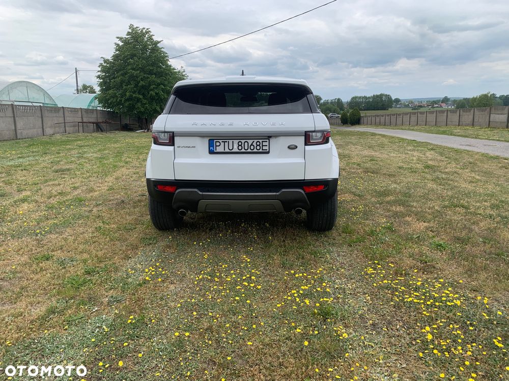 Land Rover Range Rover Evoque 2.0TD4 Pure - 5