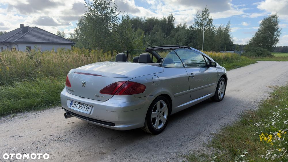 Peugeot 307 - 20