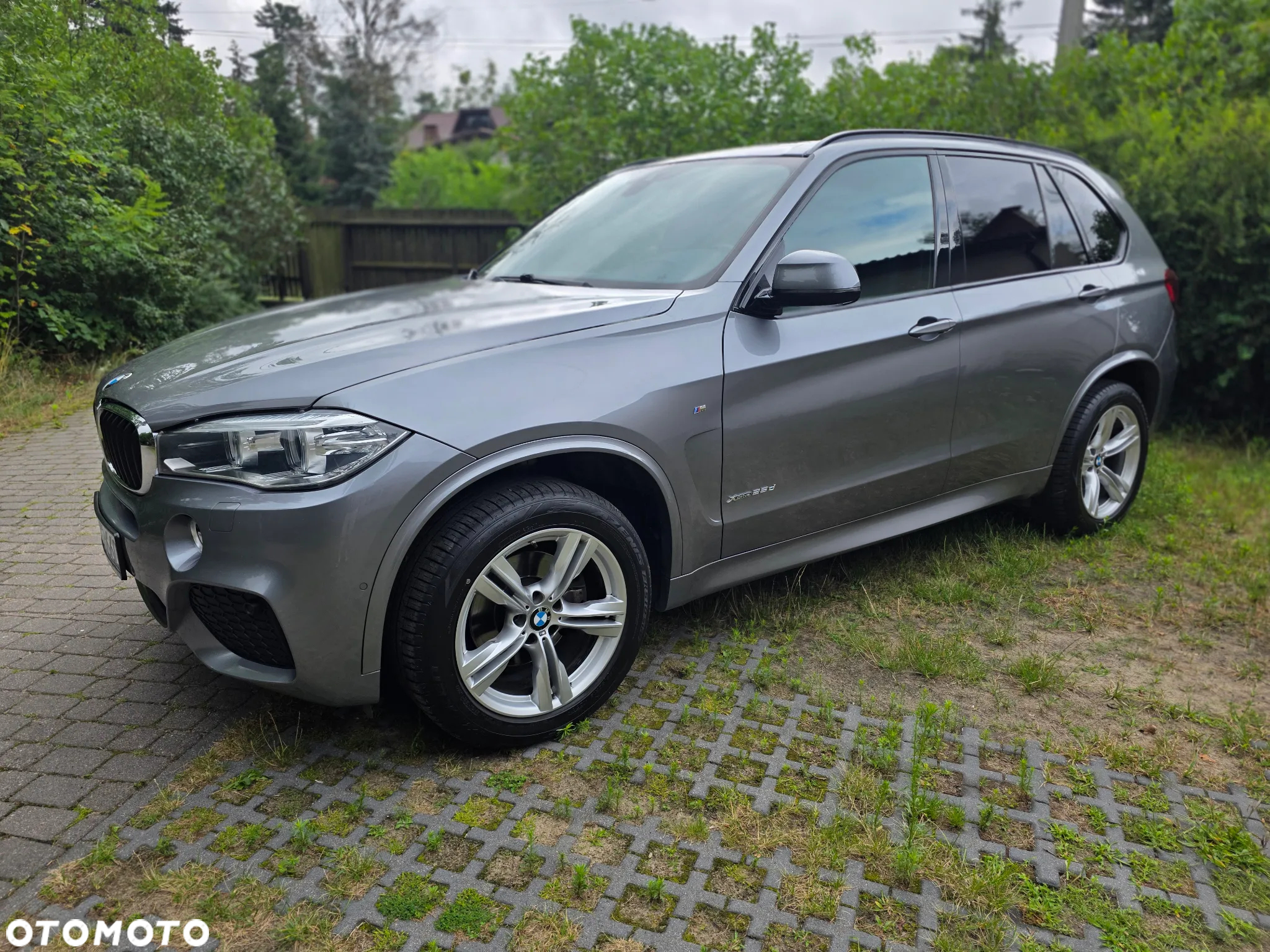 BMW X5 xDrive25d sport - 2