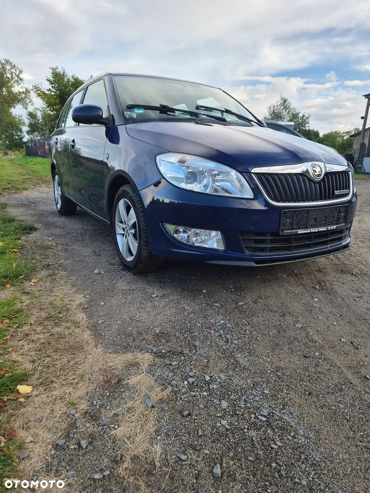 Skoda Fabia 2014 photo 2