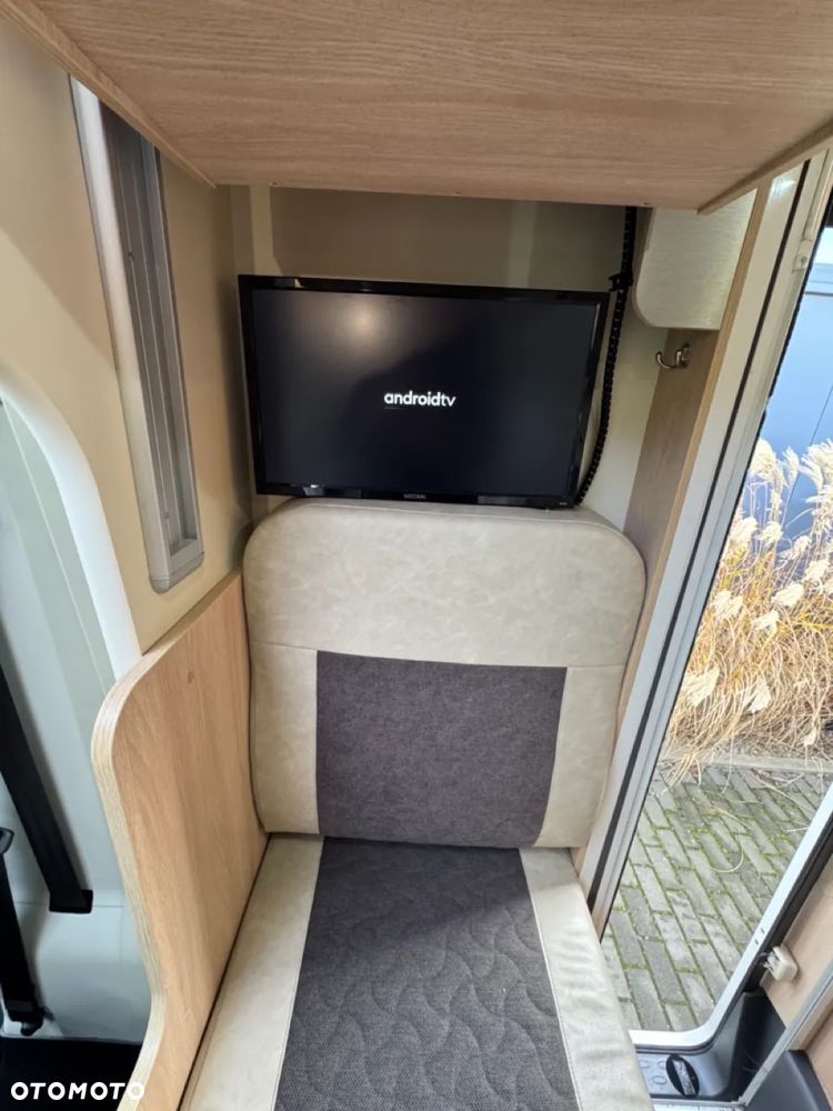 Giottiline Sienna 385 - 18