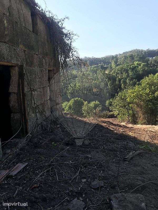 Quinta  para venda - Grande imagem: 4/19