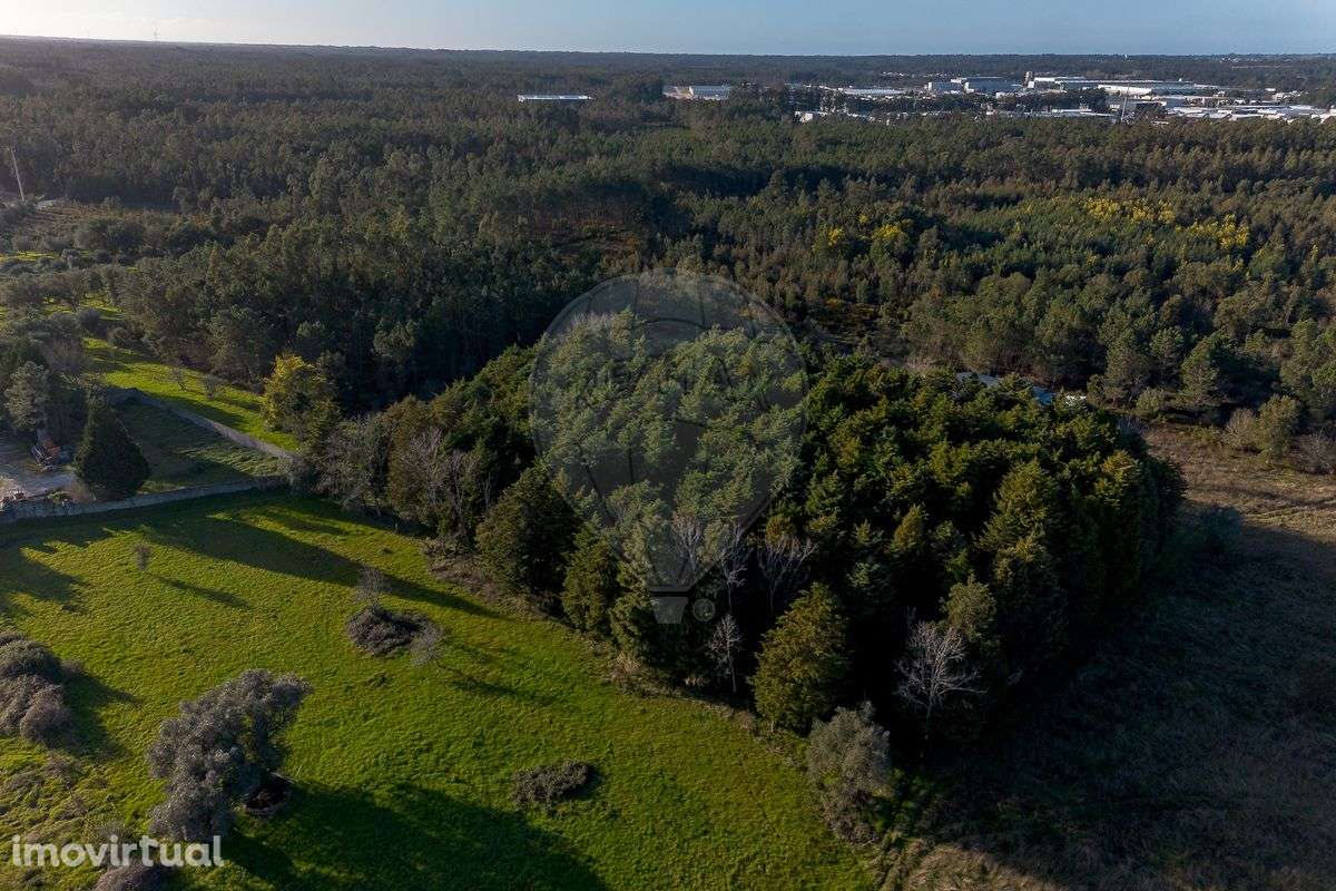 Terreno  para venda - Grande imagem: 5/13