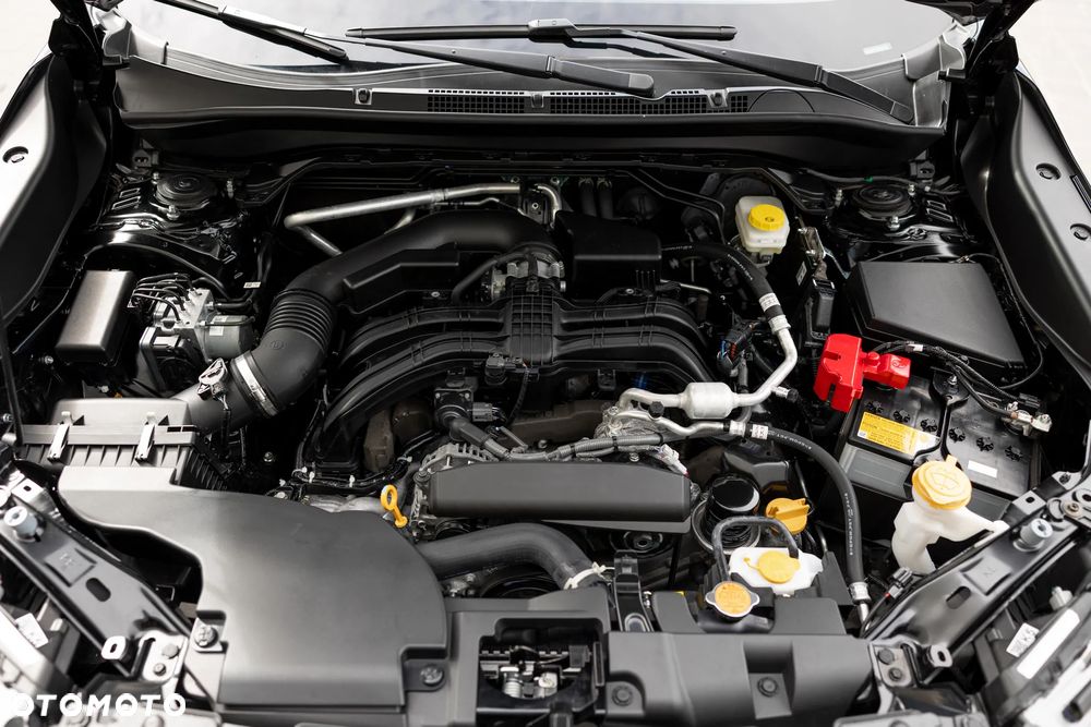 Subaru Forester - 40