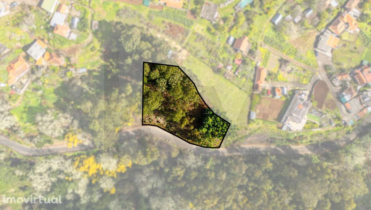 Terreno localizado na Camacha, com área total de 1.430 m2 - Grande imagem: 4/9