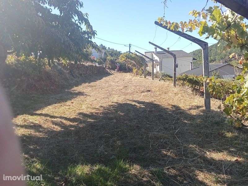 Terreno para cultivo/ outros - Grande imagem: 2/6