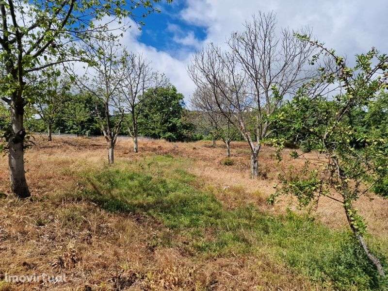 Quinta V2 - Grande imagem: 5/42