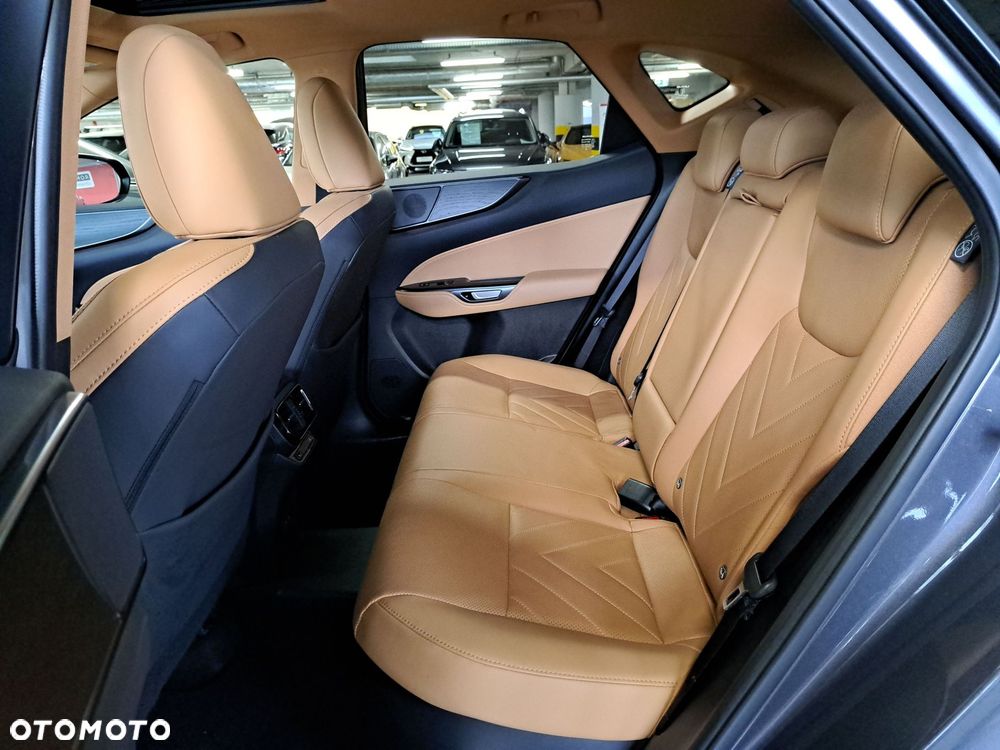 Lexus NX - 13