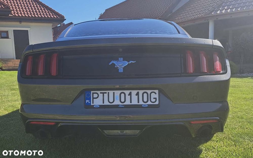 Ford Mustang 3.7 V6 - 5