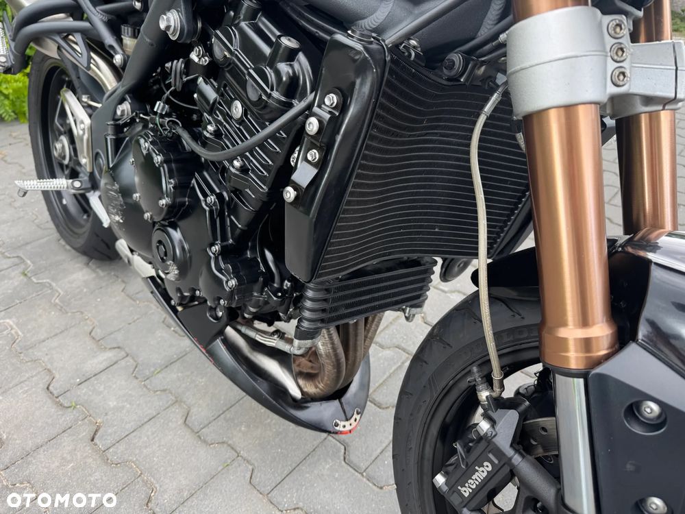 Triumph Speed Triple - 17