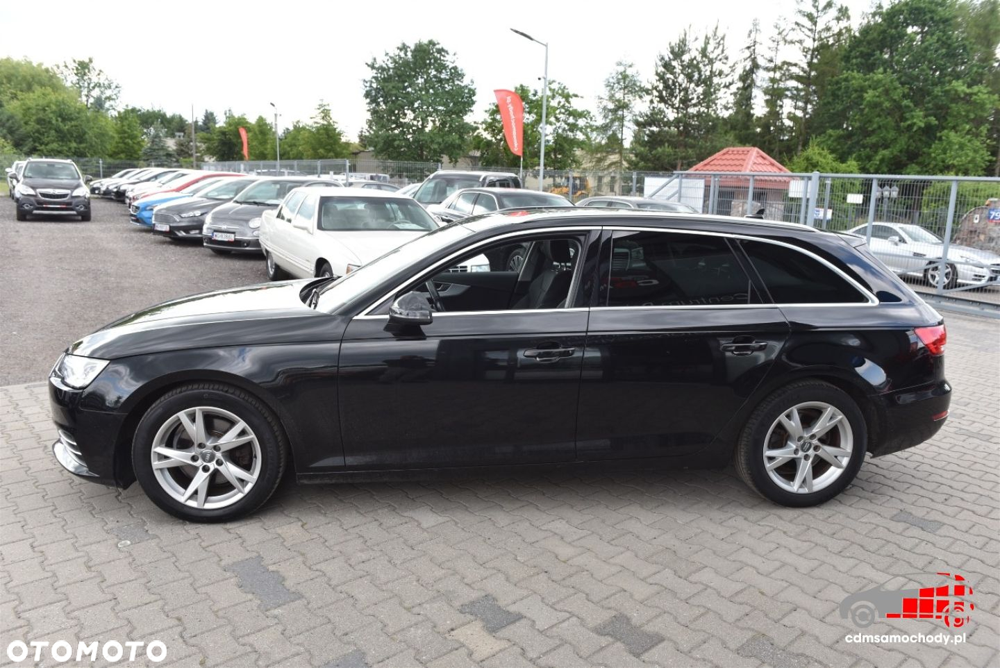 Audi A4 Avant 2.0 TDI ultra S tronic sport - 7