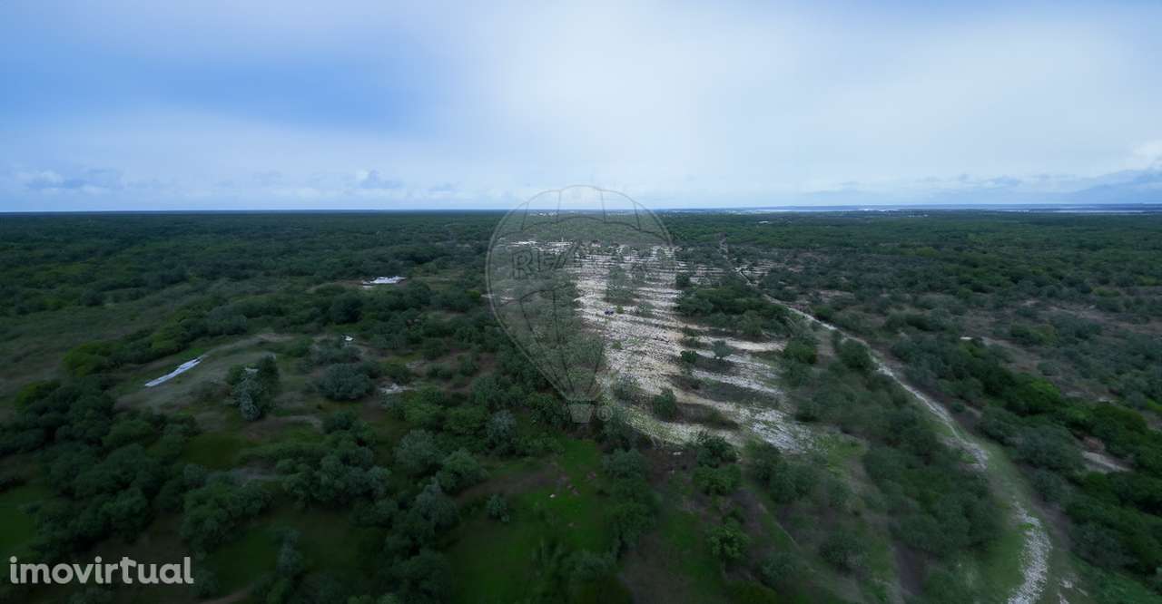Terreno  para venda - Grande imagem: 3/3