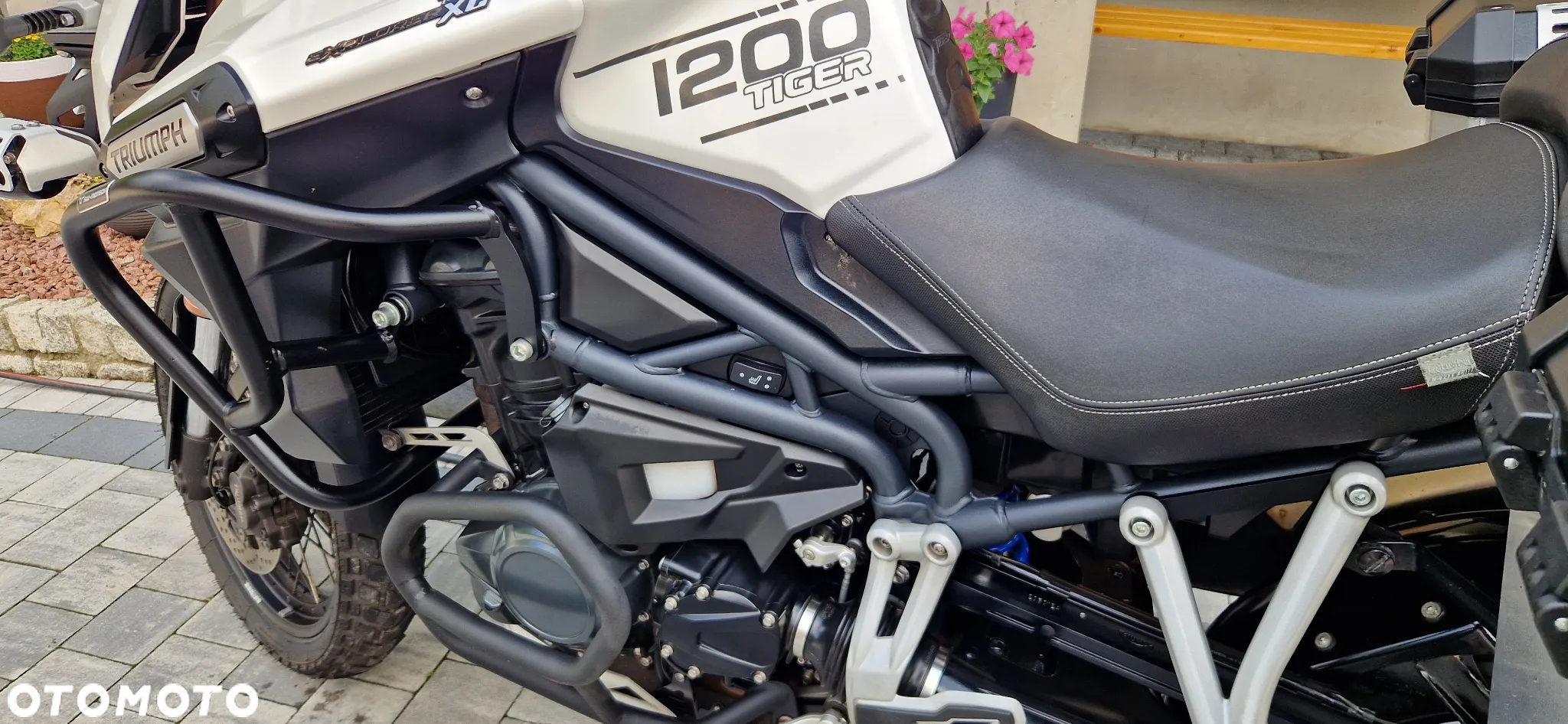 Triumph Tiger - 16