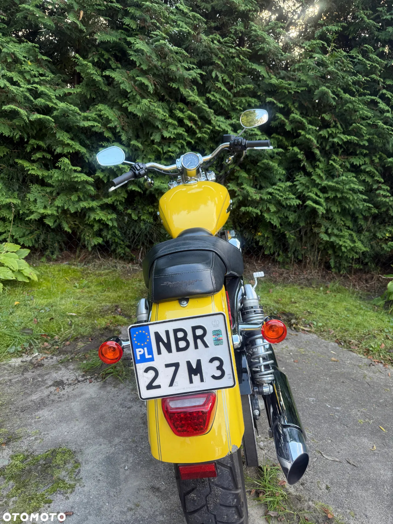 Harley-Davidson Sportster Custom 1200C - 7