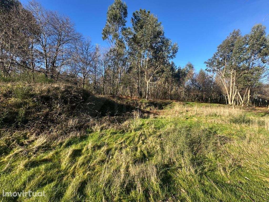 Terreno para construção, em Resende. - Grande imagem: 5/15