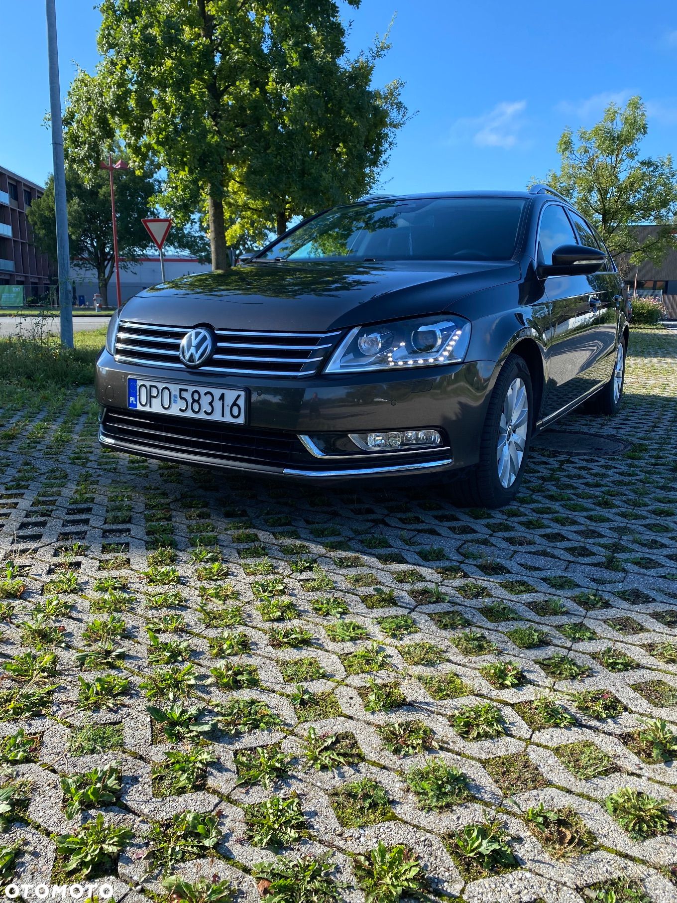 Volkswagen Passat - 1